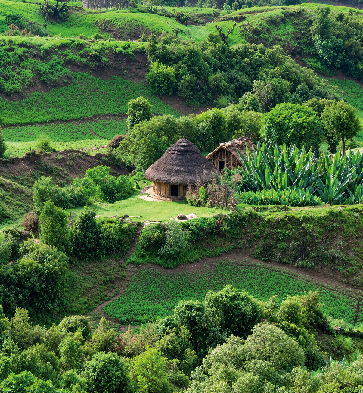 Community members gathered for a rural development programme session in Ethiopia